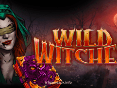 Wild Witches slot